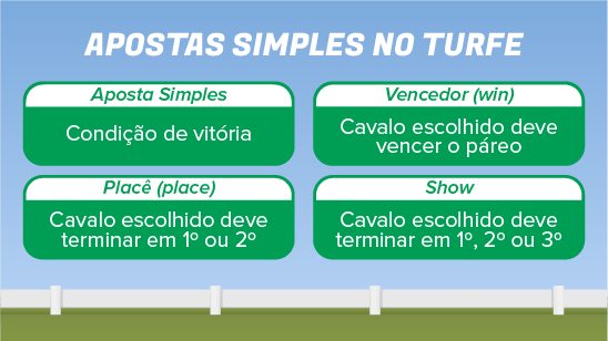 Apostas simples no turfe